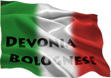Devonia Bolognese Dogs